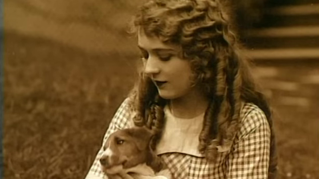Backdrop for Mary Pickford: A Life on Film
