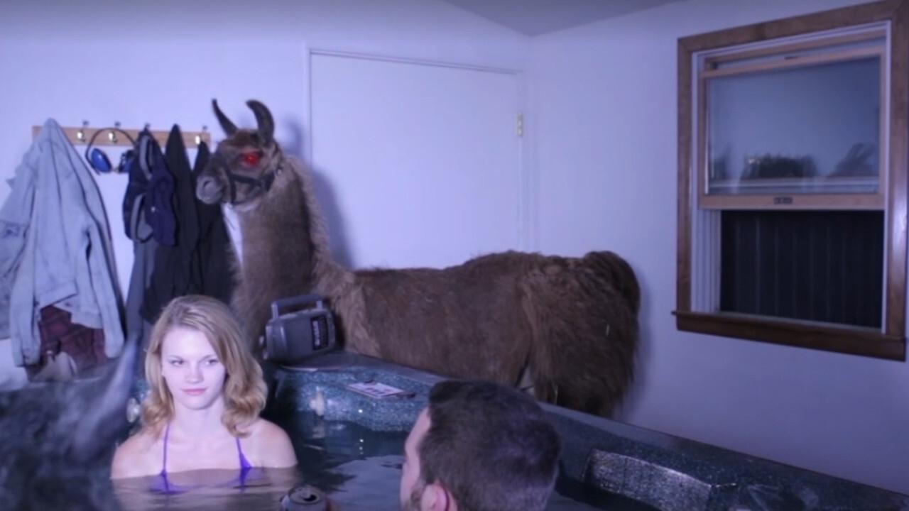 Backdrop for Llamageddon