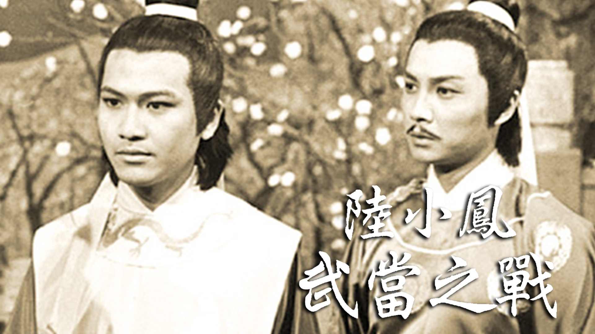 Backdrop for Luk Siu Fung (Series III)