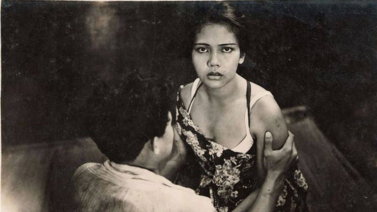 Backdrop for Siti Akbari