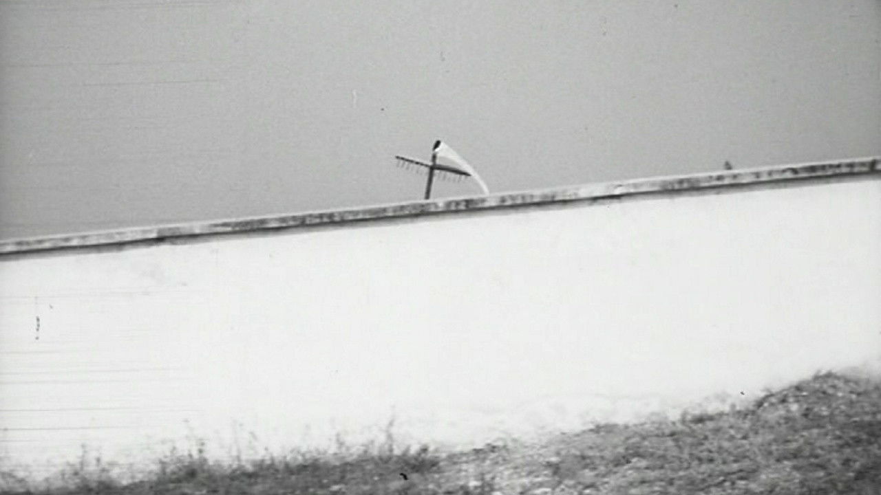 Backdrop for Down With Uncle