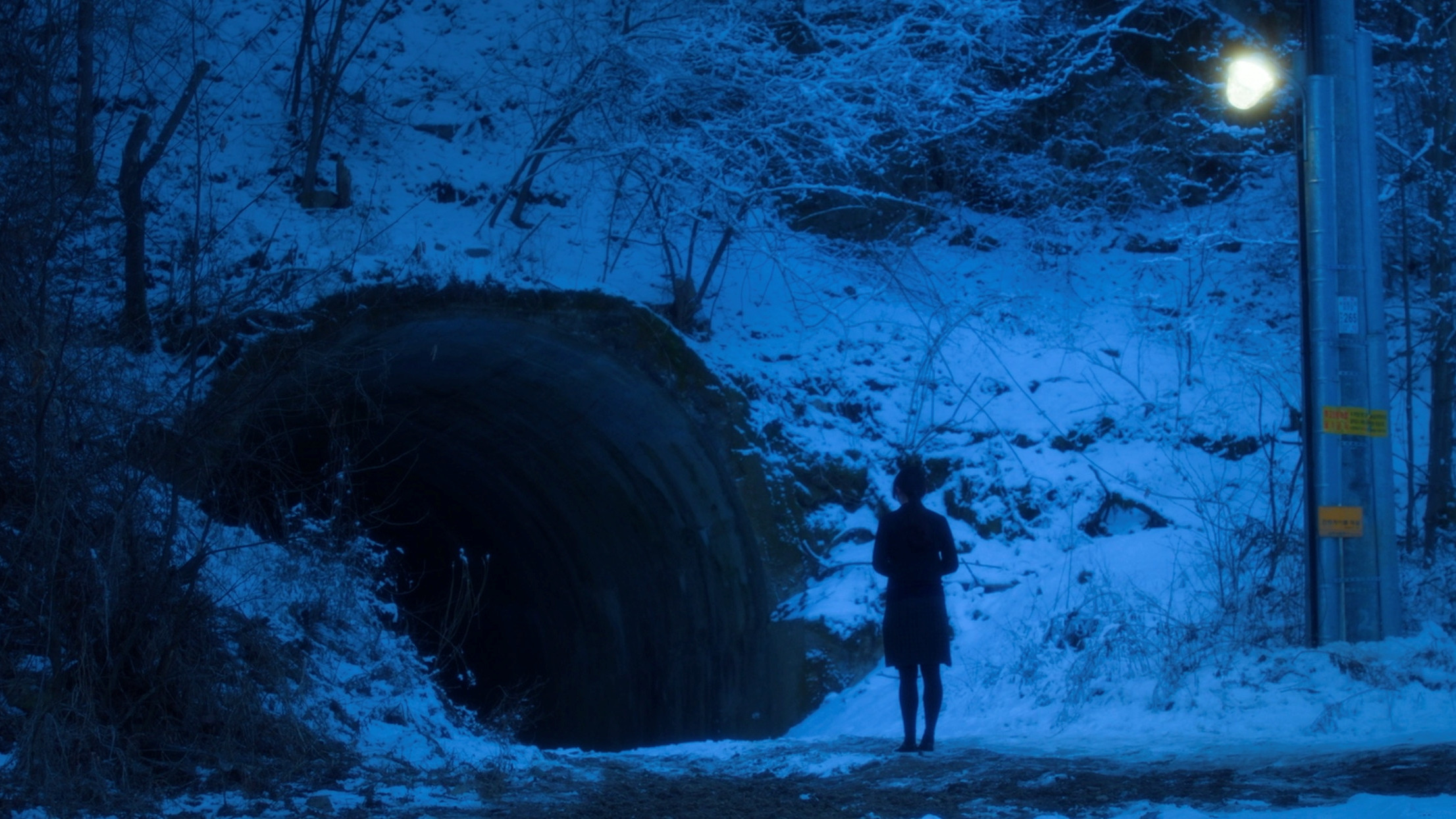 Backdrop for Into the Light