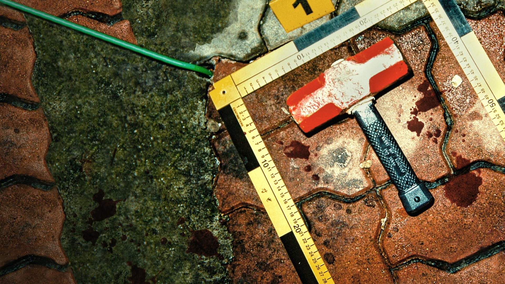 Backdrop for The Raincoat Killer: Chasing a Predator in Korea