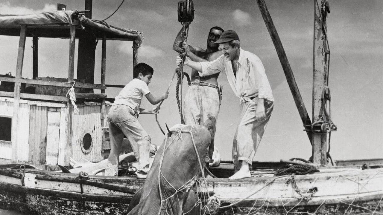 Backdrop for Shark Hunters