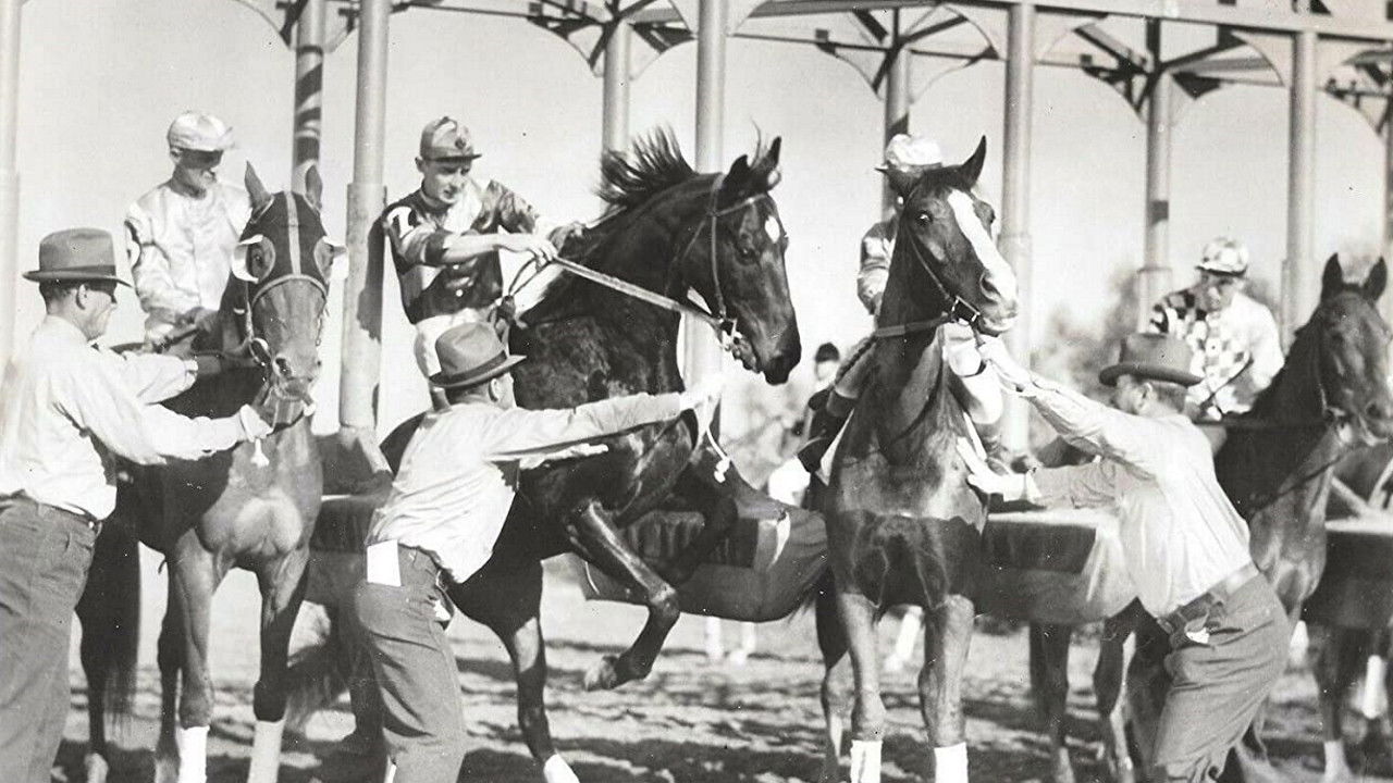 Backdrop for The Lady's from Kentucky