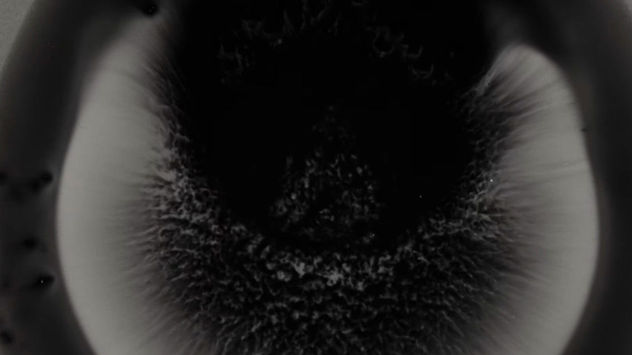 Backdrop for Michael Gira: I Wonder If I’m Singing What You’re Thinking Me to Sing (Live Solo 2022)