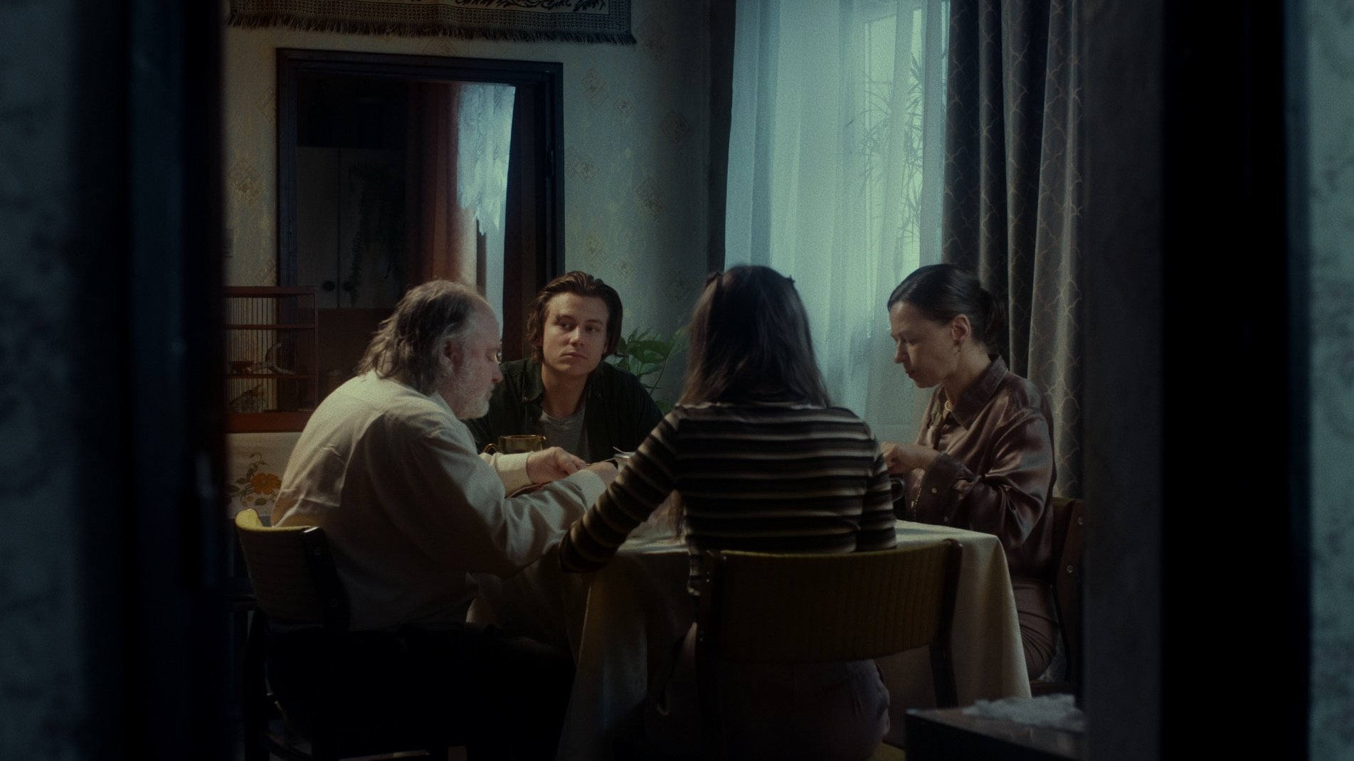 Backdrop for The Nest