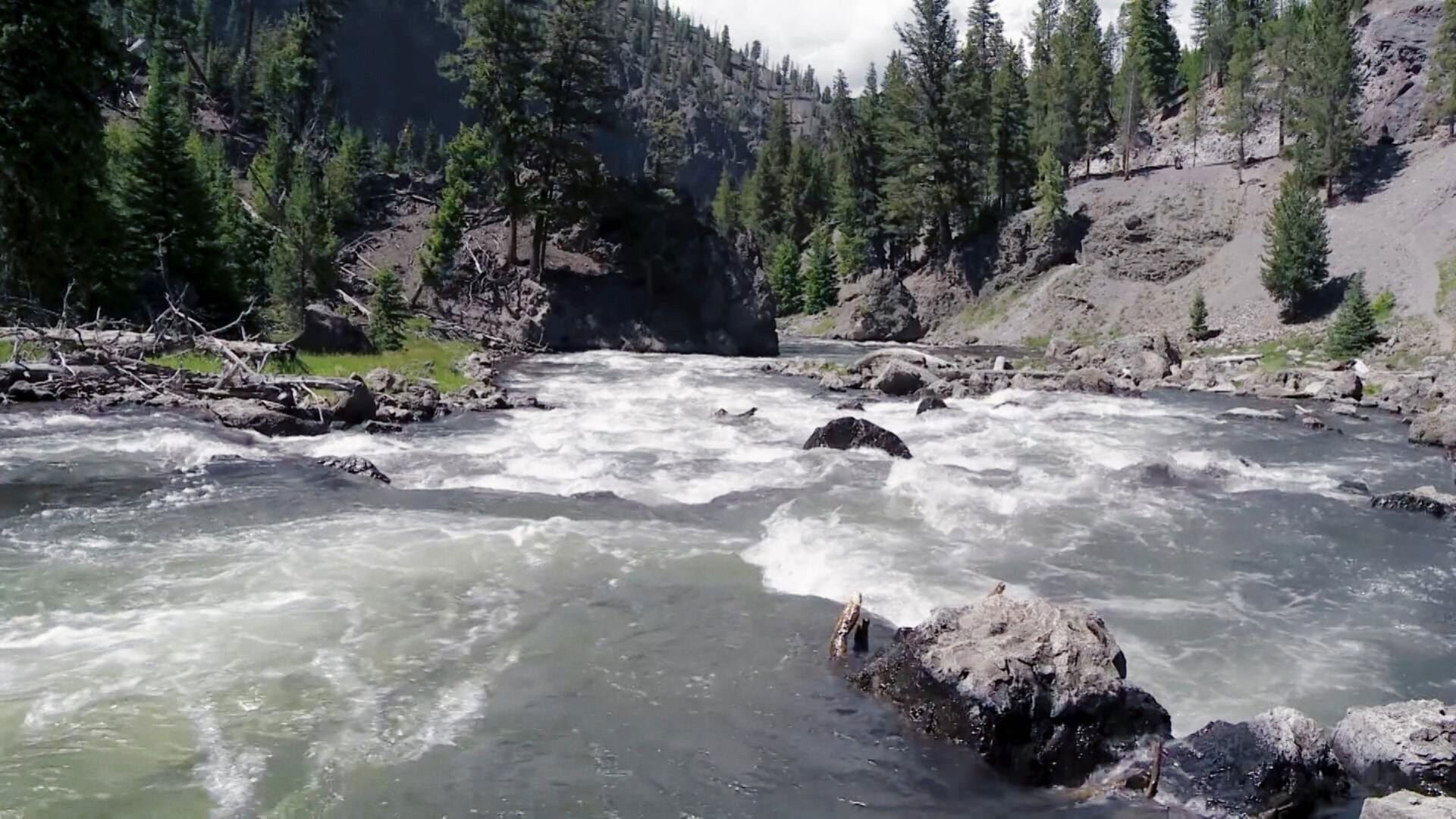 Backdrop for L'Europe à la reconquête de la biodiversité