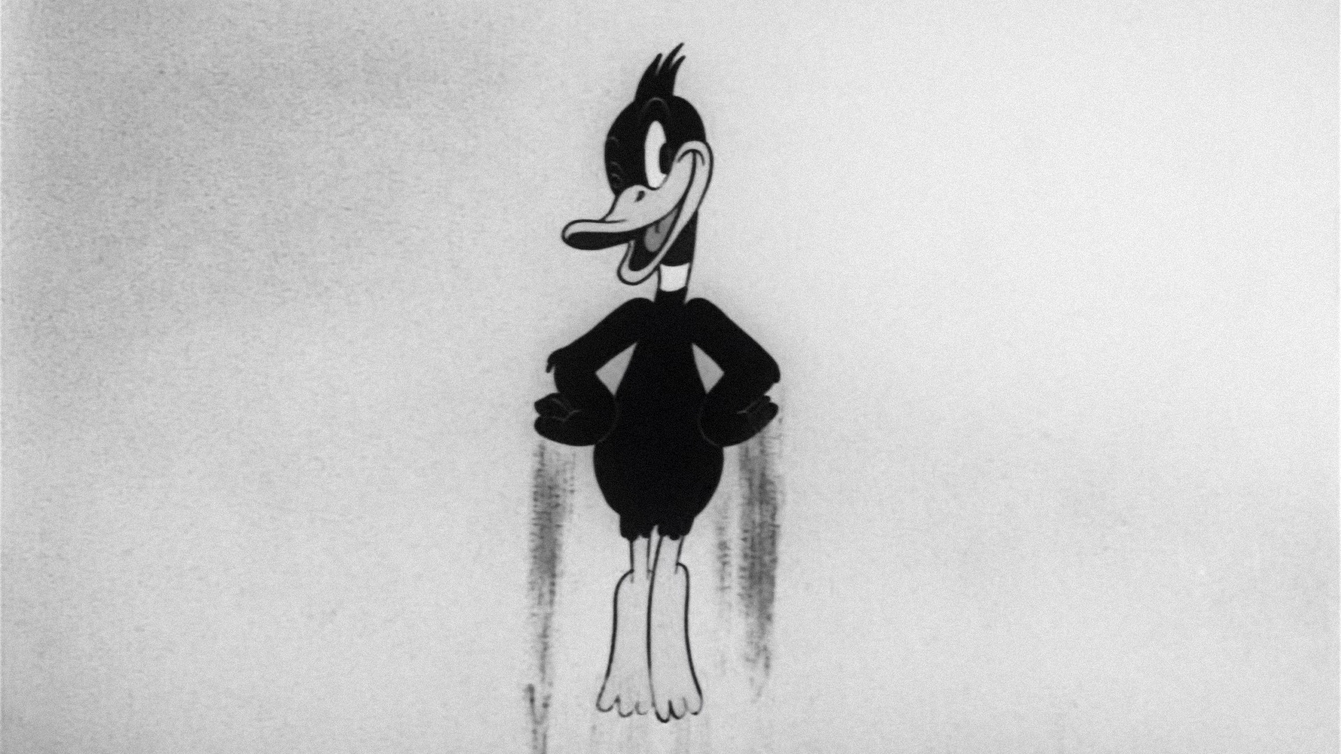 Backdrop for Daffy's Southern Exposure