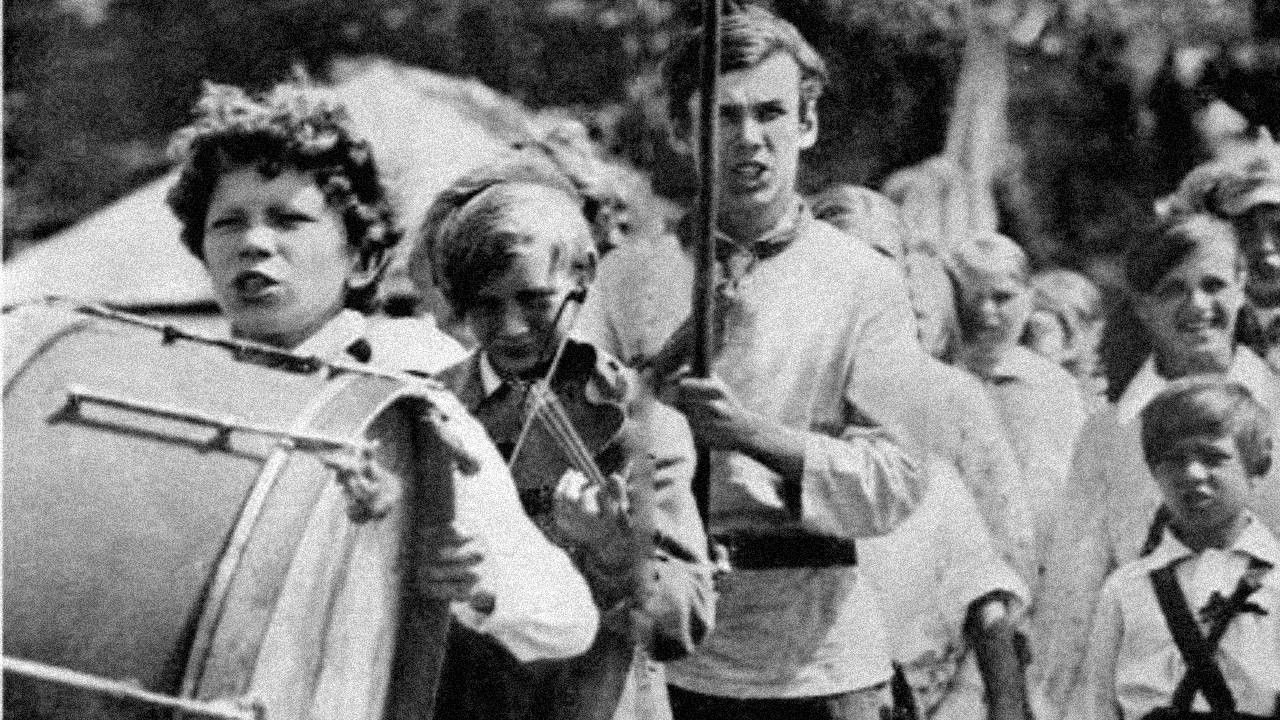 Backdrop for Red Bees