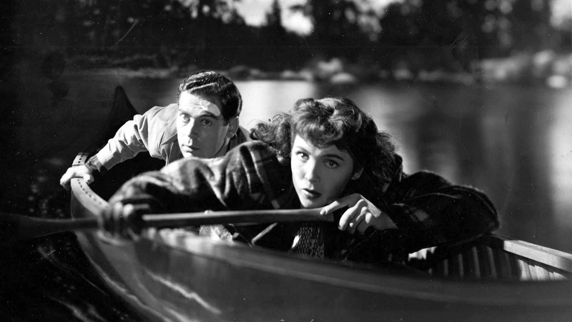 Backdrop for The Whip Hand