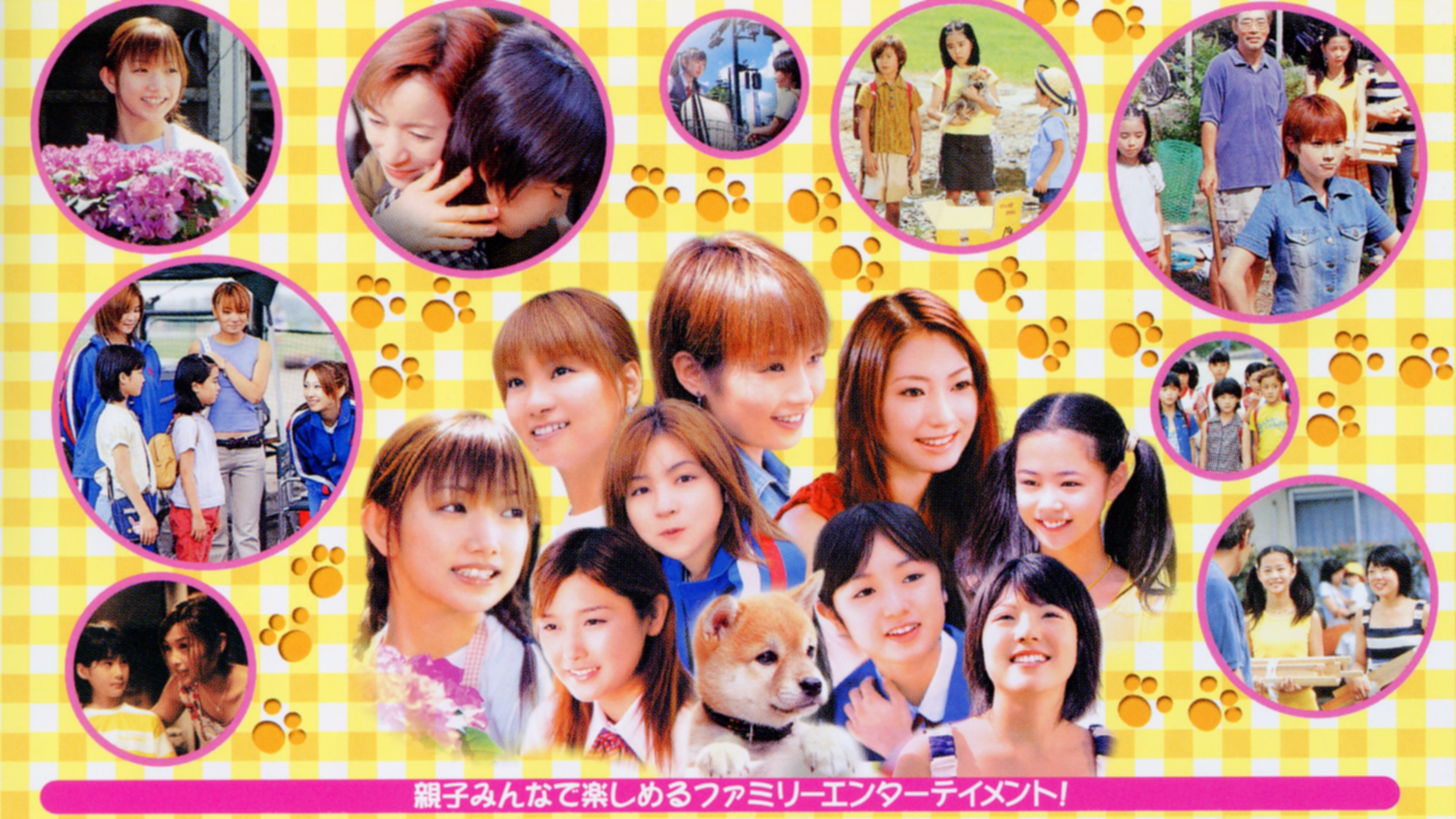 Backdrop for The Story of Dan the Puppy