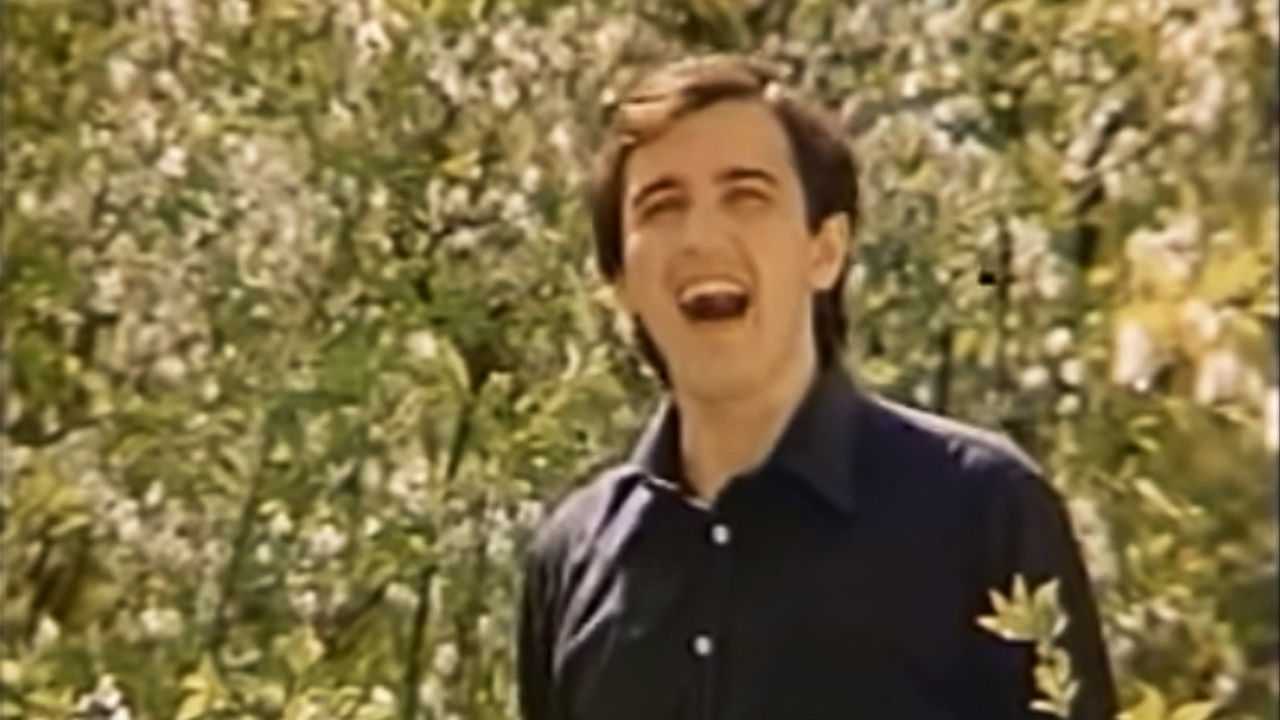 Backdrop for Chervona Ruta. Ten Years Later