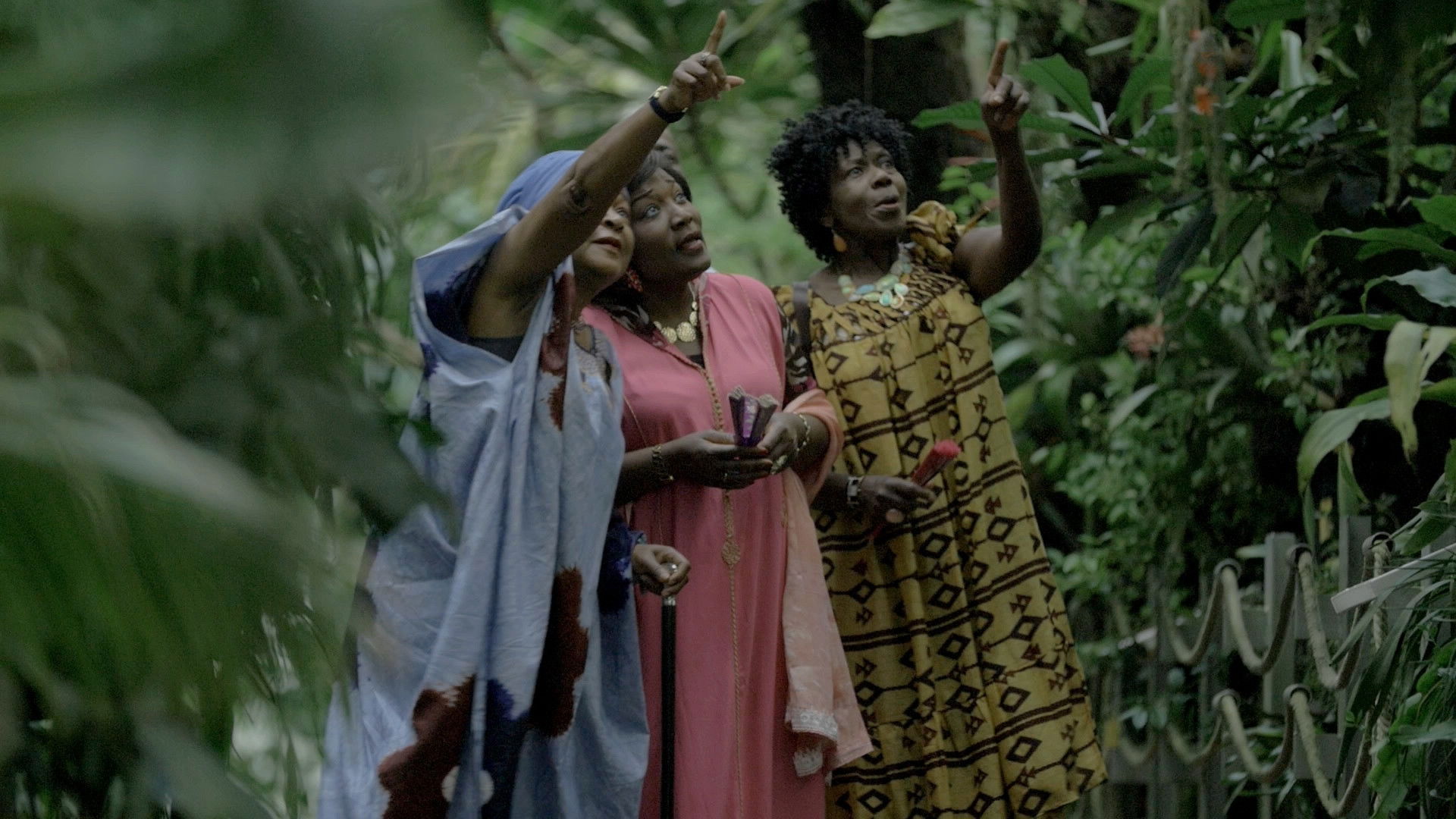 Backdrop for THE INDIGO TREE or the descent of the twins