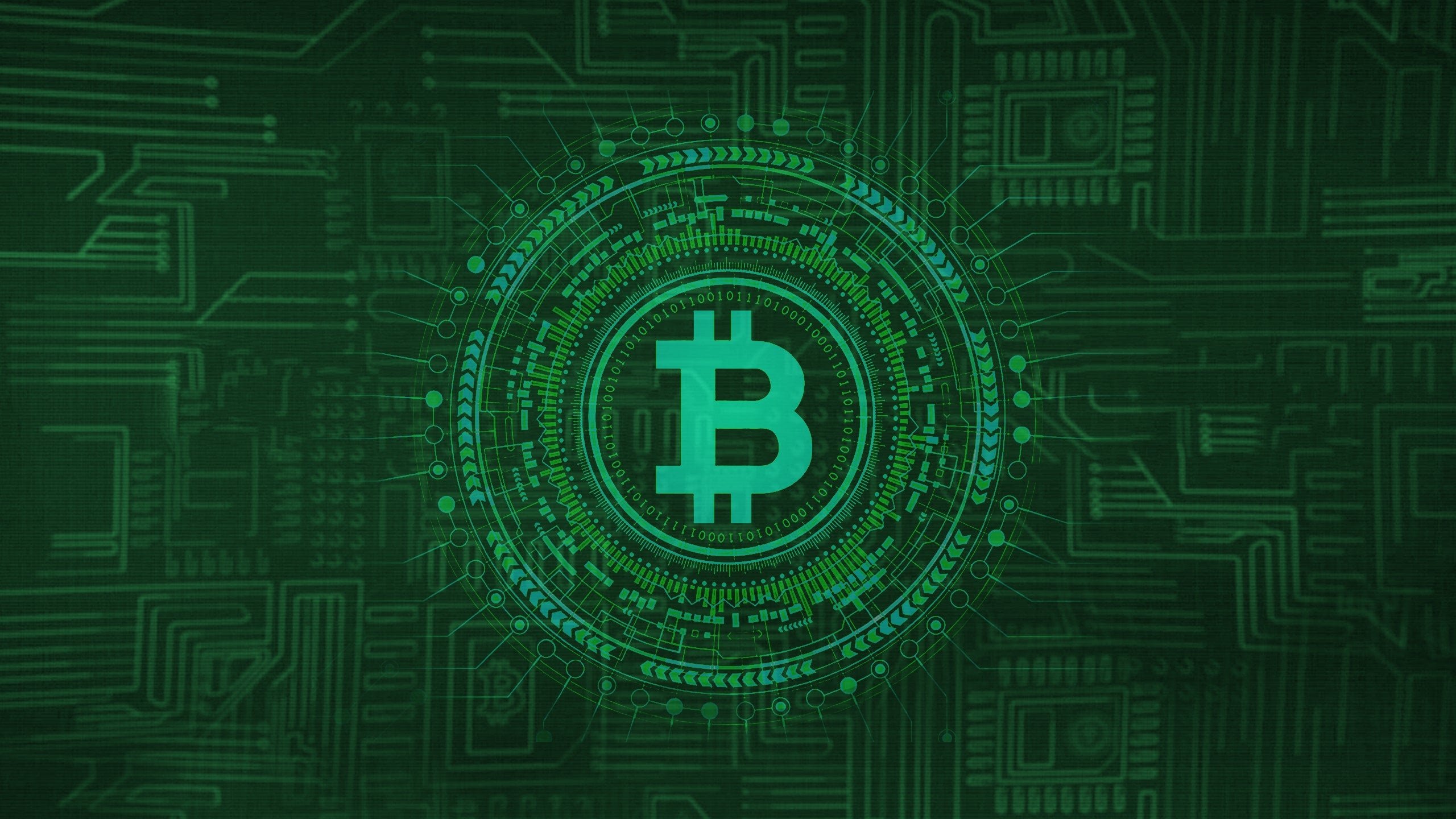 Backdrop for Cryptokoorts