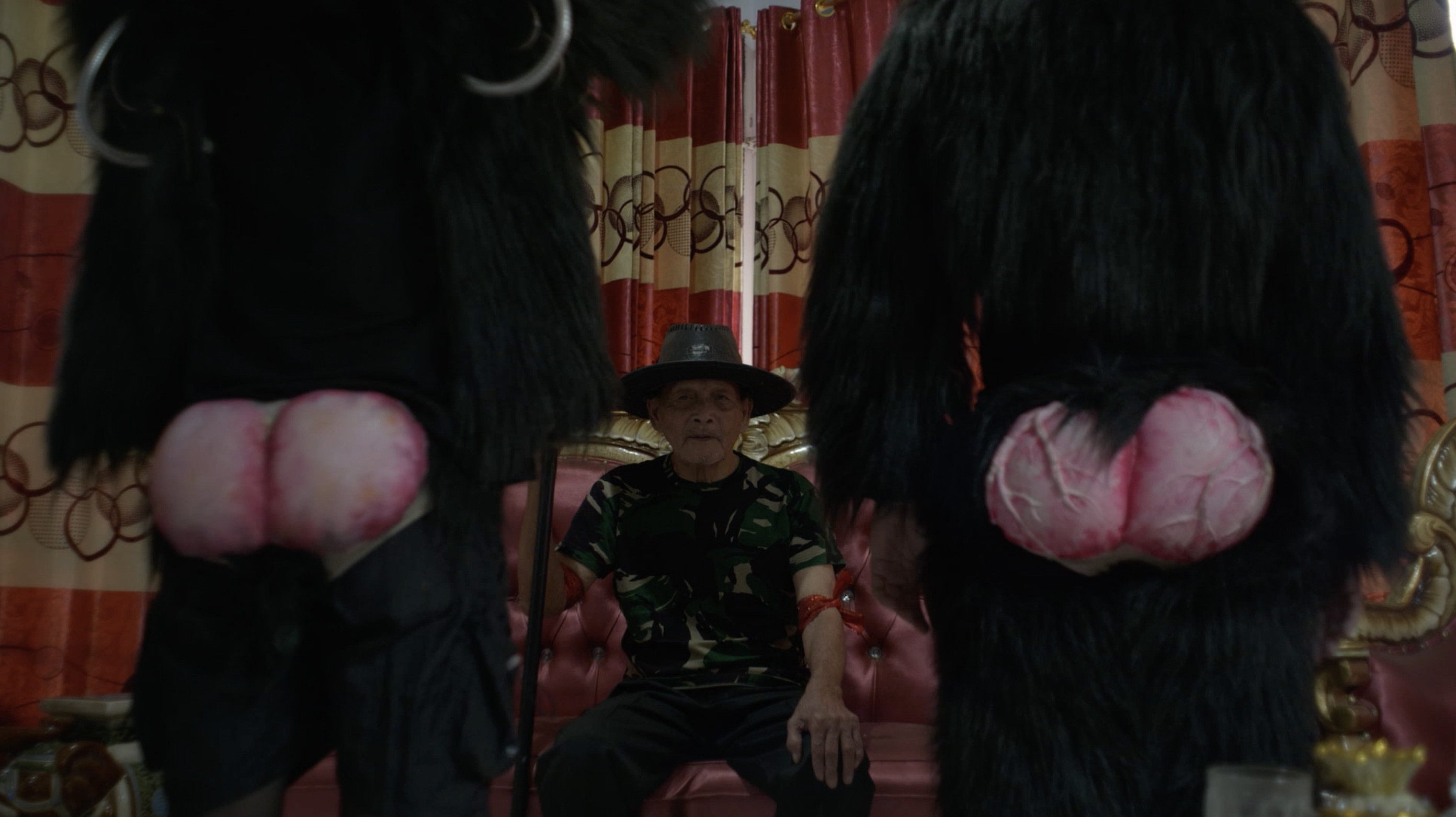 Backdrop for Primate Visions; Macaque Macabre