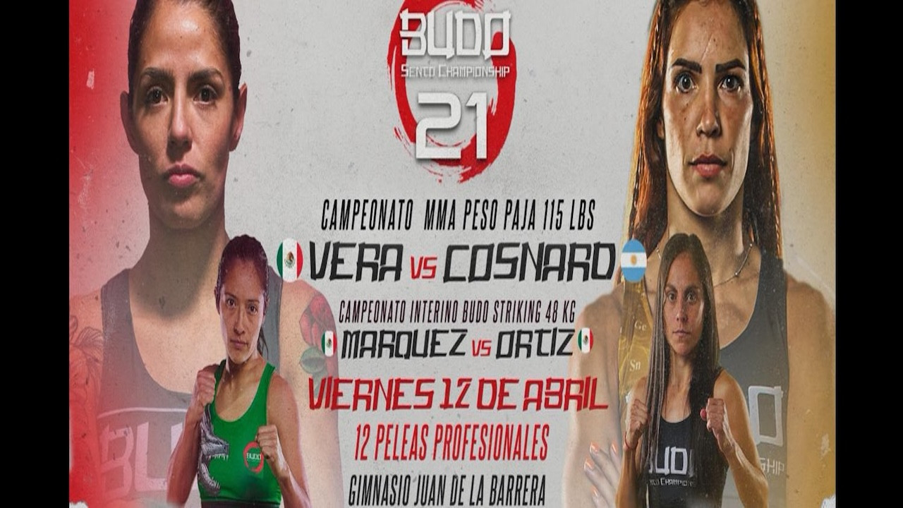 Backdrop for Budo Sento Championship 21