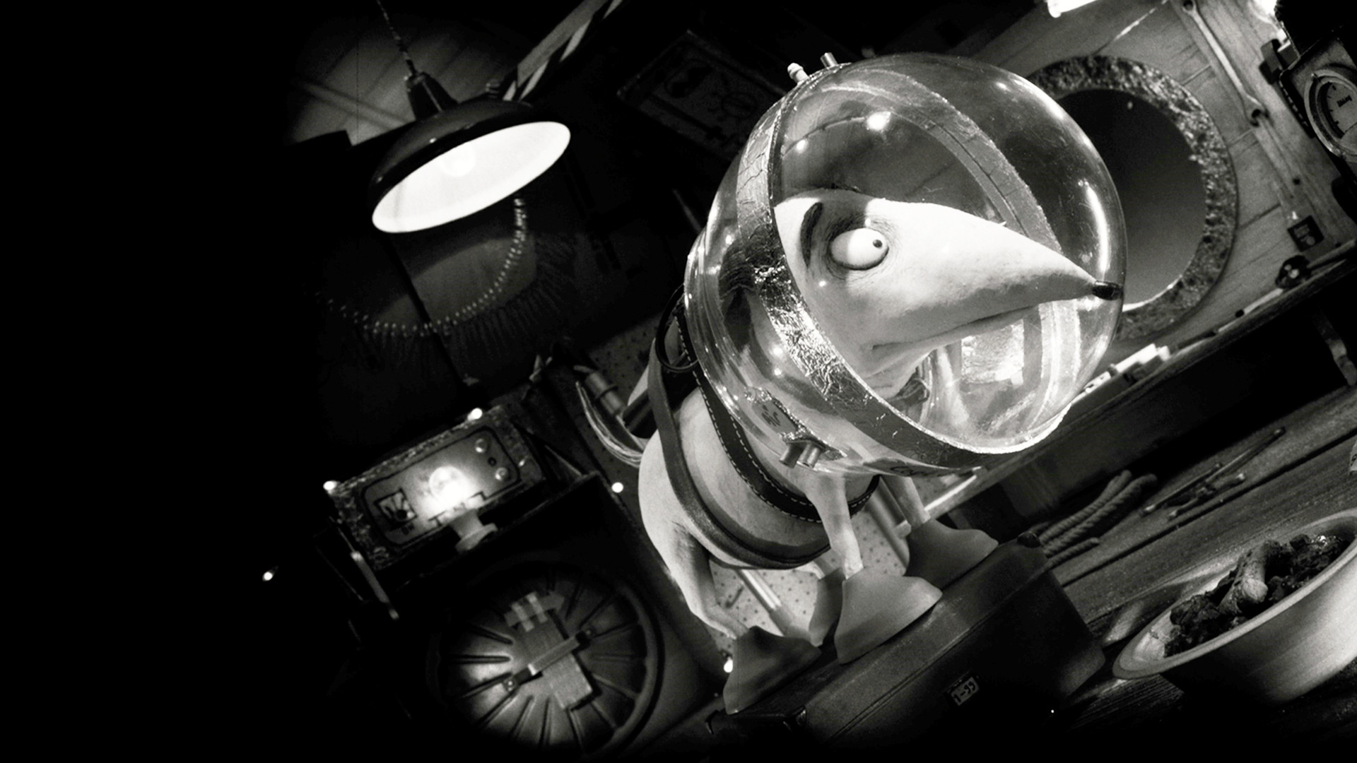 Backdrop for Captain Sparky vs. The Flying Saucers