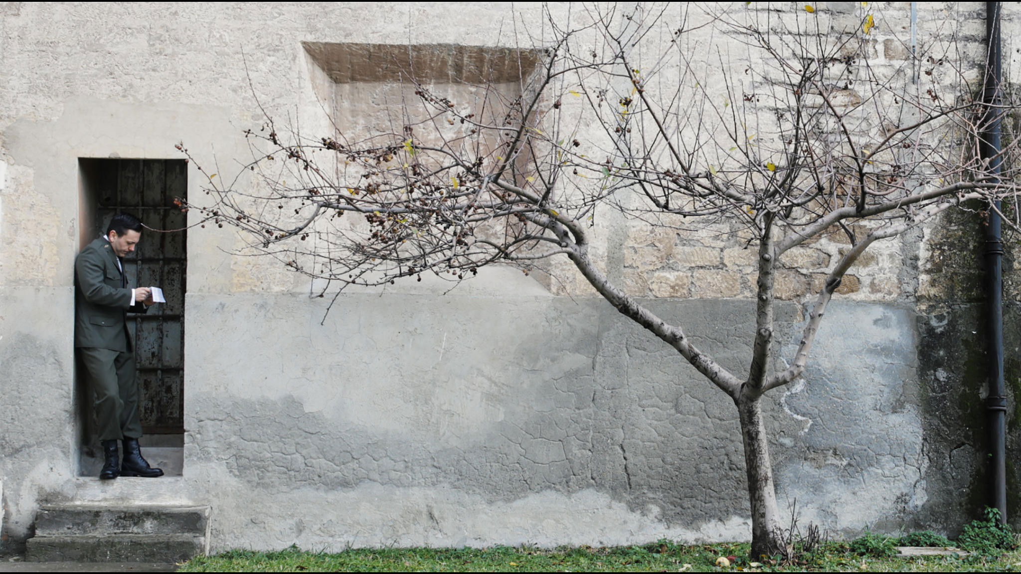 Backdrop for Fortress