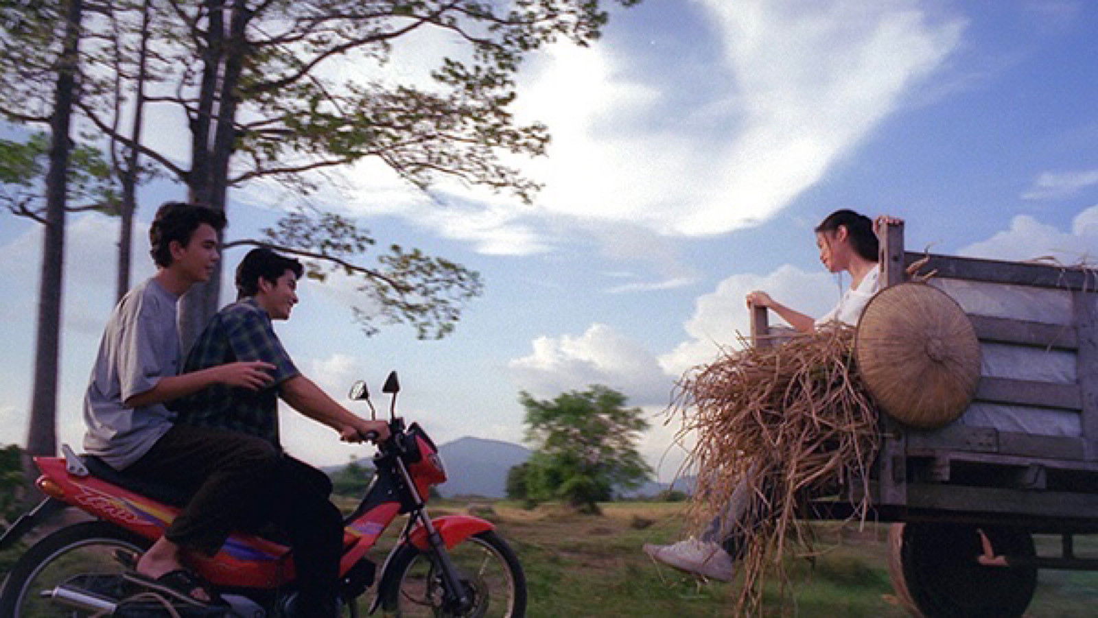 Backdrop for Country Life