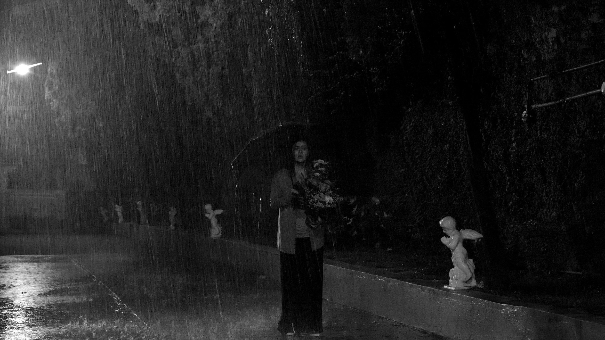 Backdrop for The Halt