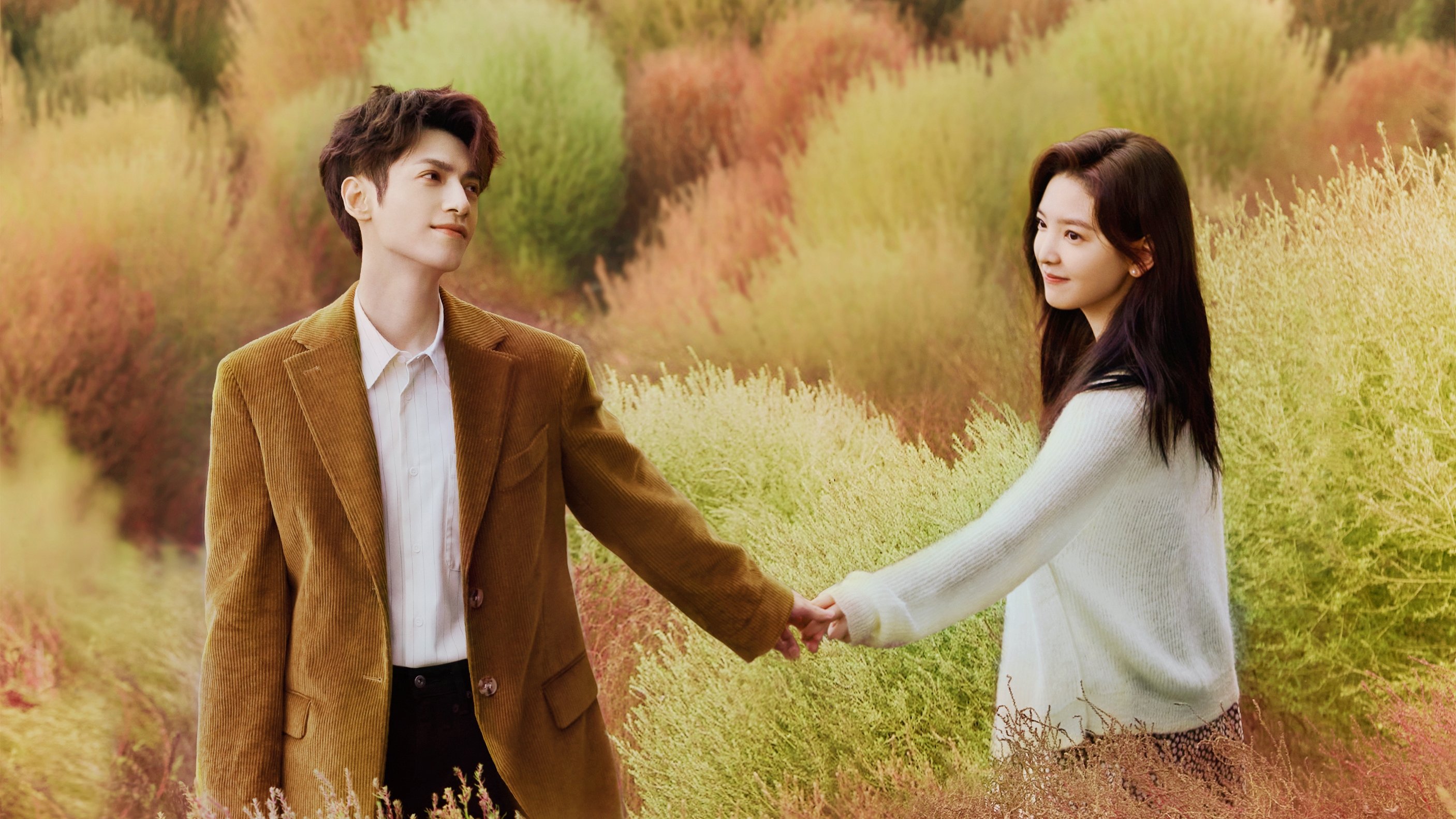 Backdrop for Love is Panacea