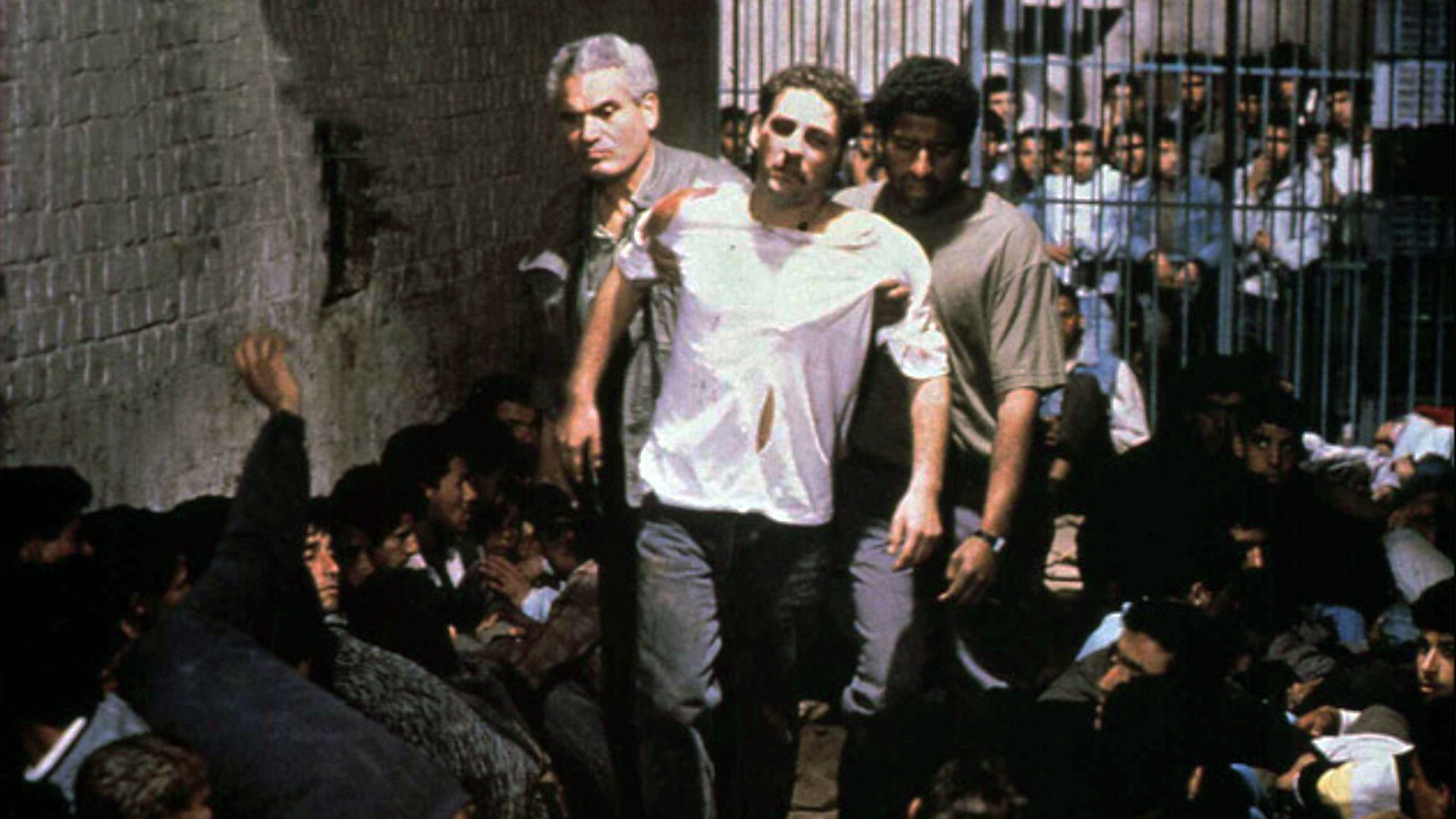 Backdrop for Autumn, October In Algiers