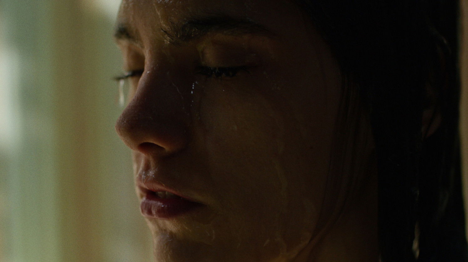 Backdrop for Summer to Come