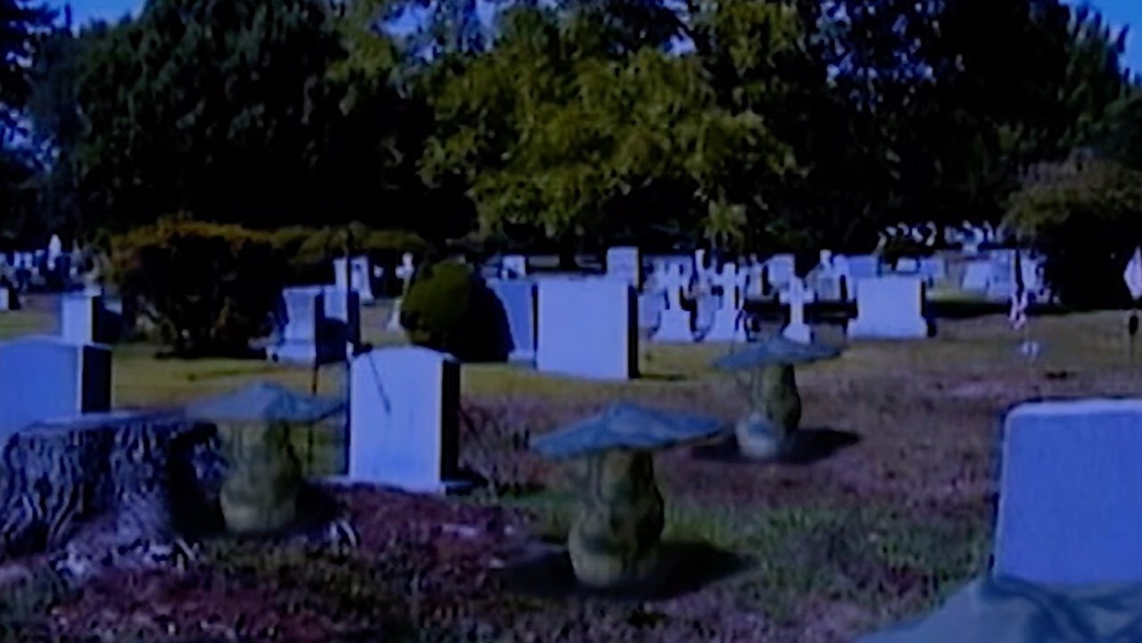 Backdrop for Fungicide