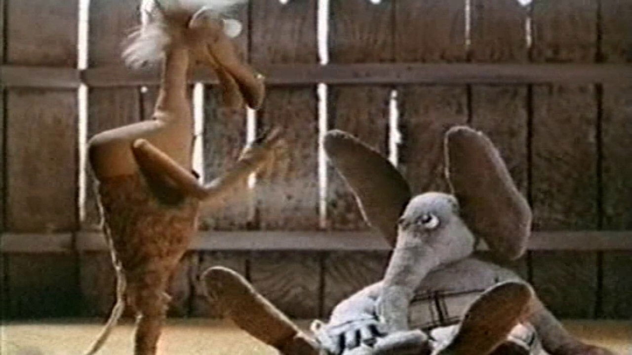 Backdrop for Two Camels Were Flying