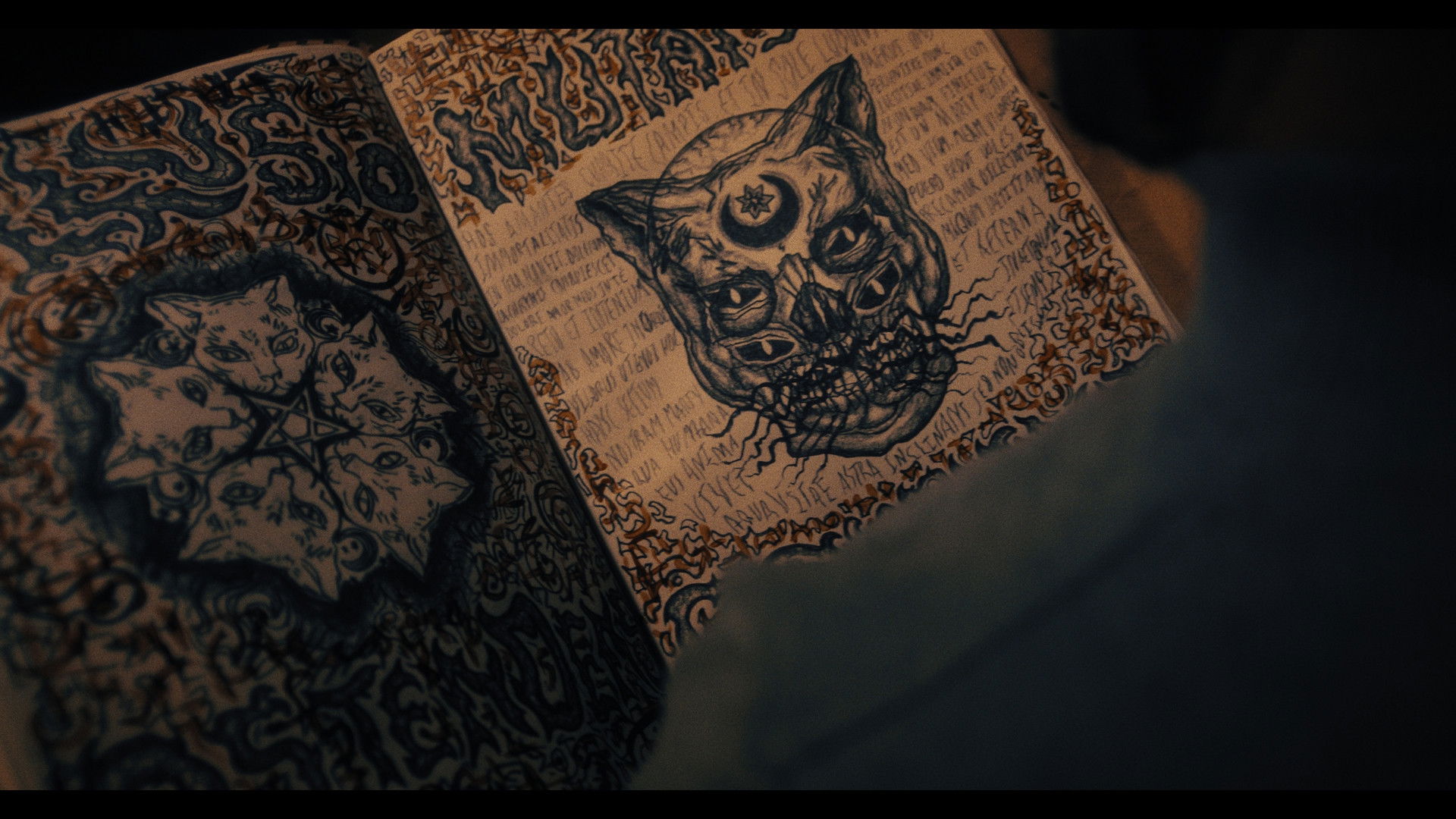 Backdrop for Don't Let the Cat Out