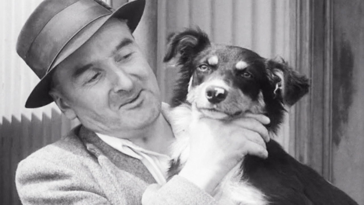 Backdrop for Rover Makes Good