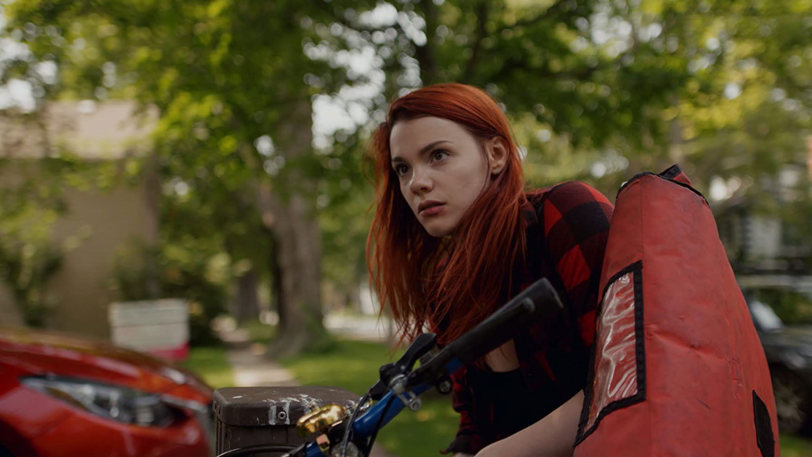 Backdrop for Pyrenees