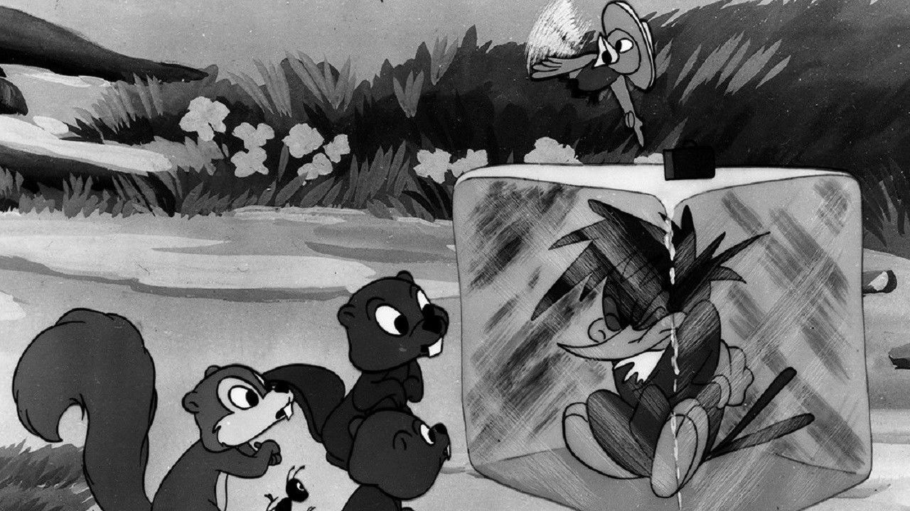 Backdrop for The Redwood Sap