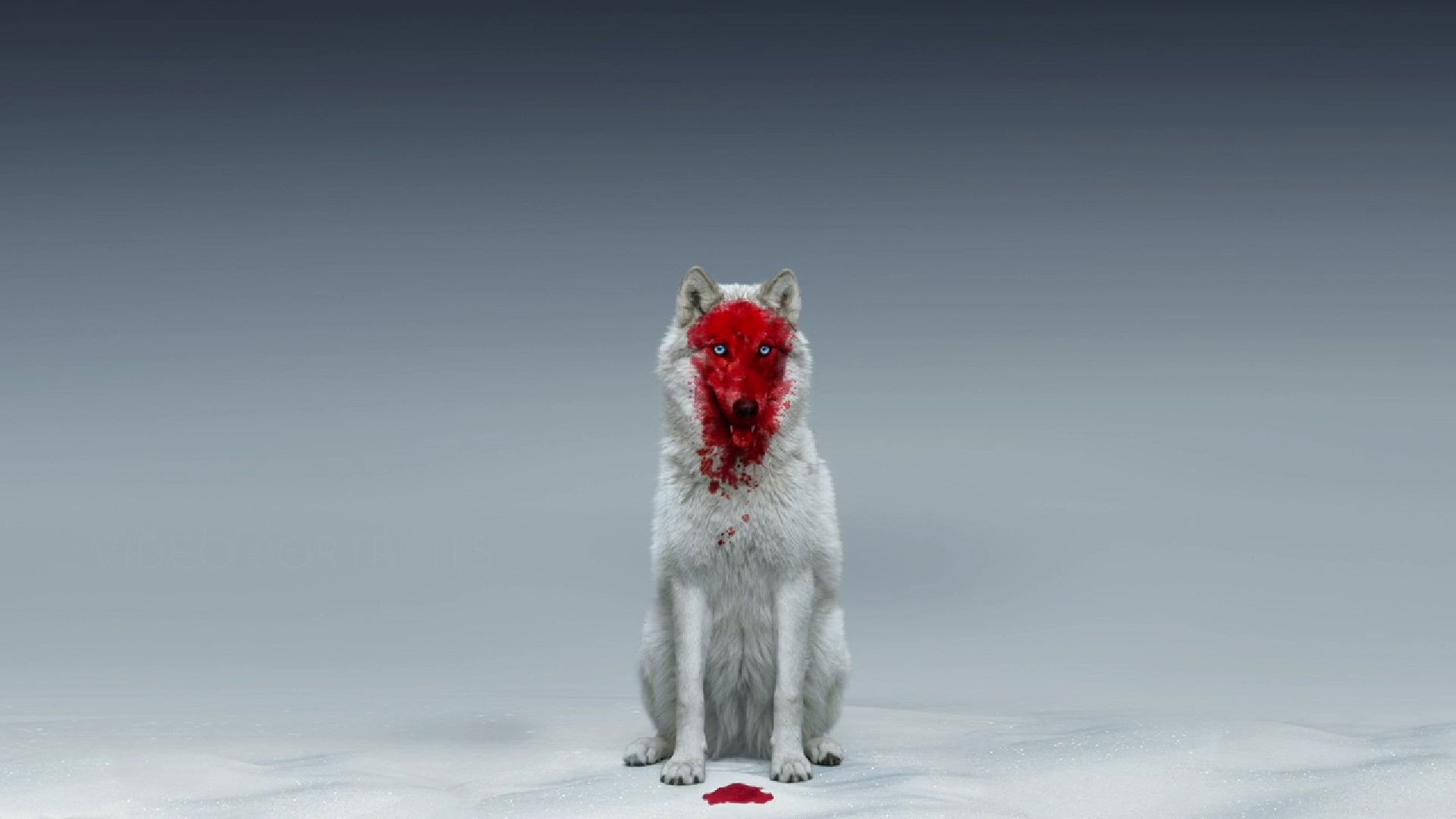 Backdrop for A Winter Fable