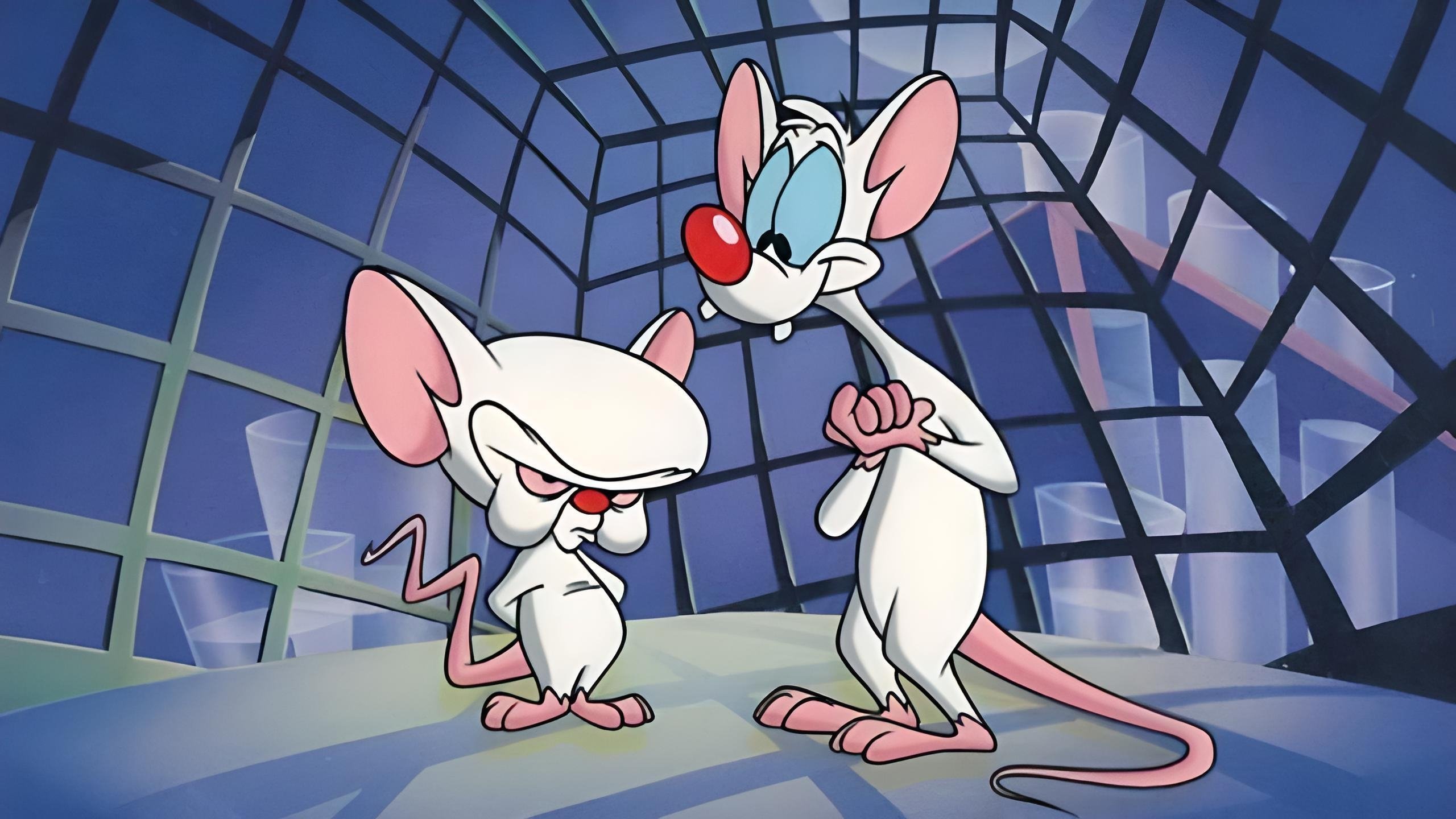 Backdrop for Pinky and the Brain