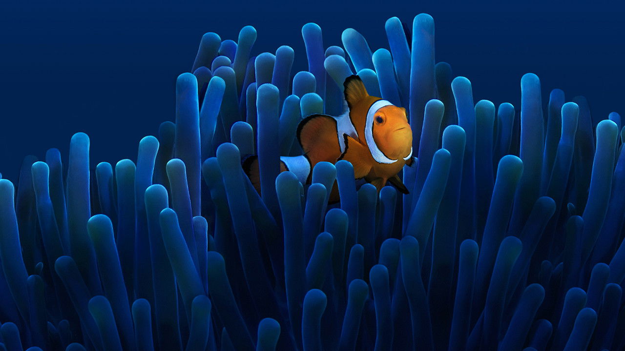 Backdrop for Australia's Ocean Odyssey: A journey down the East Australian Current