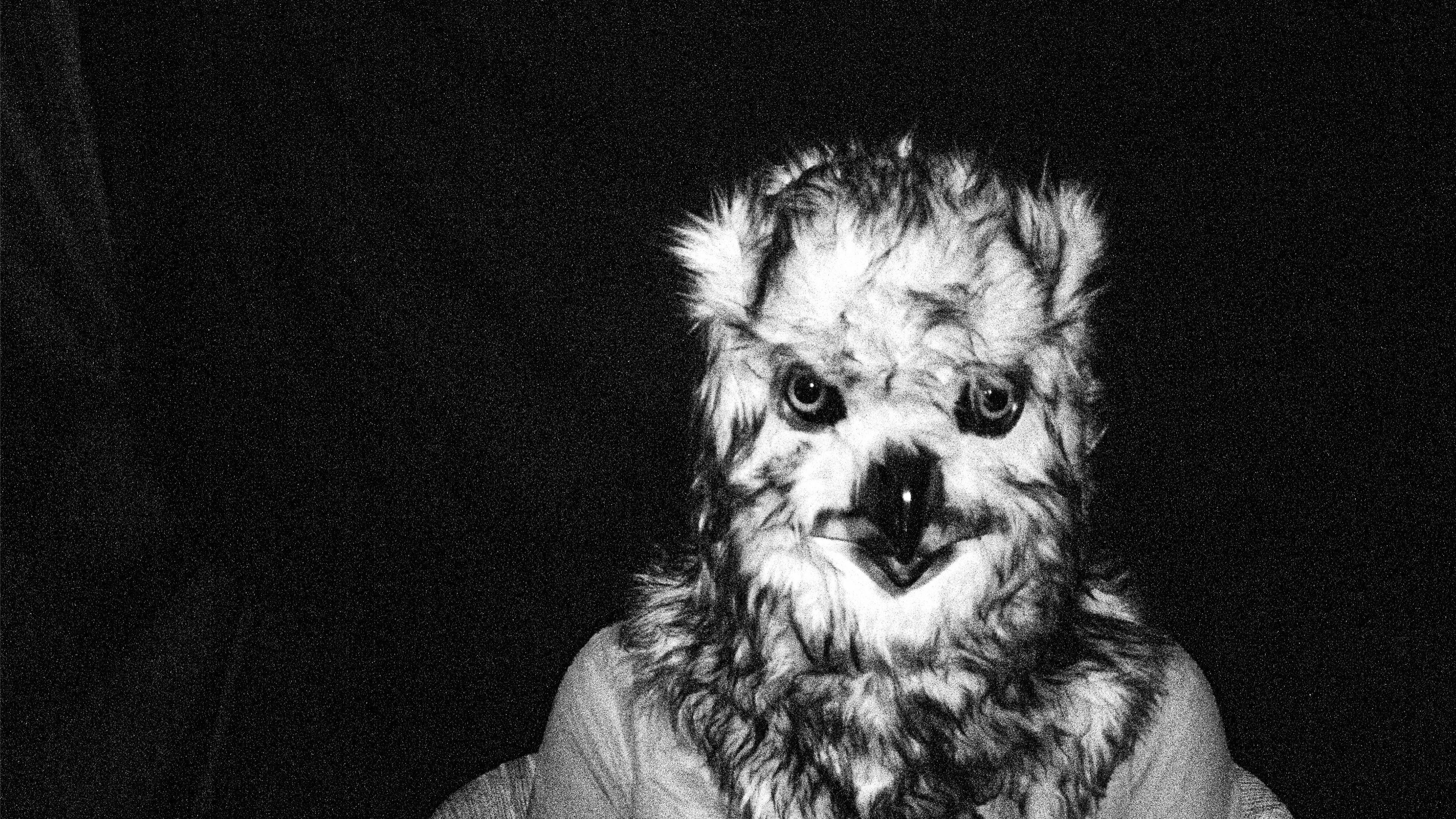 Backdrop for Te están rezando