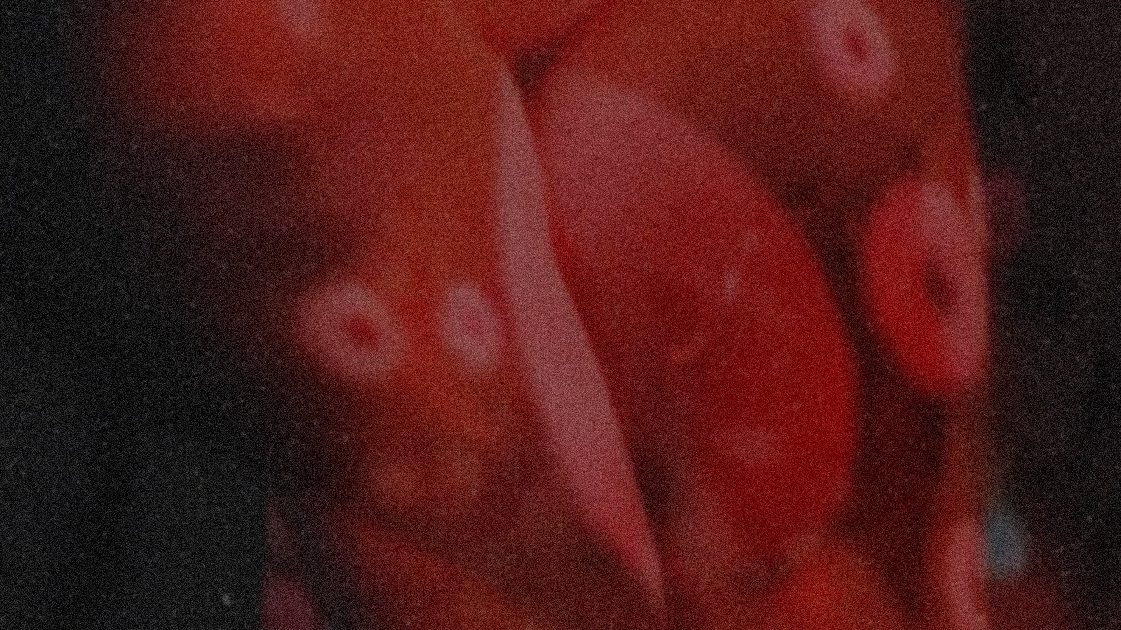 Backdrop for Is It A Plaisir