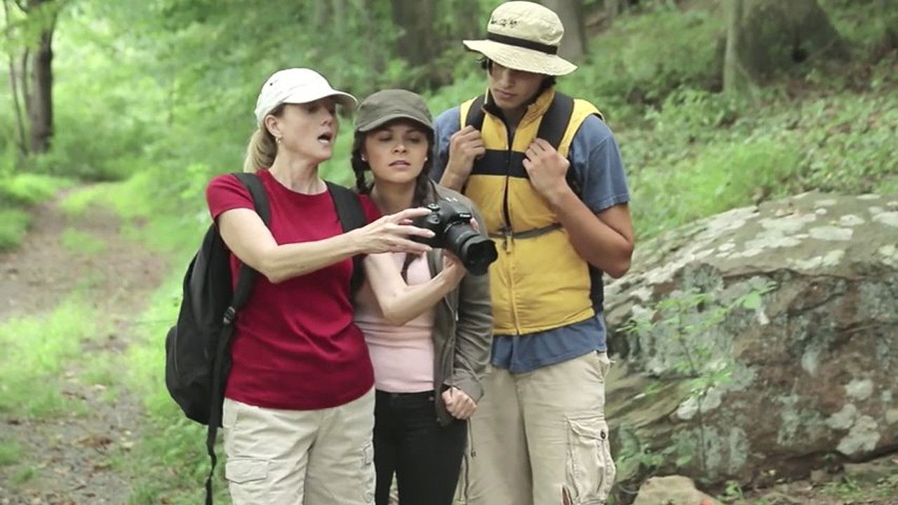 Backdrop for Creature in the Woods