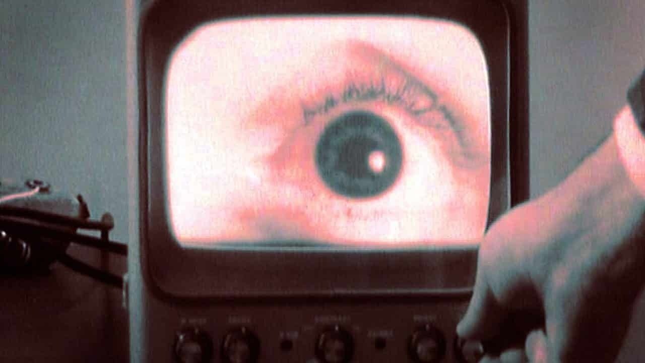 Backdrop for All Watched Over by Machines of Loving Grace