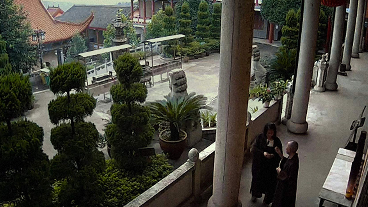 Backdrop for Dragonfly Eyes