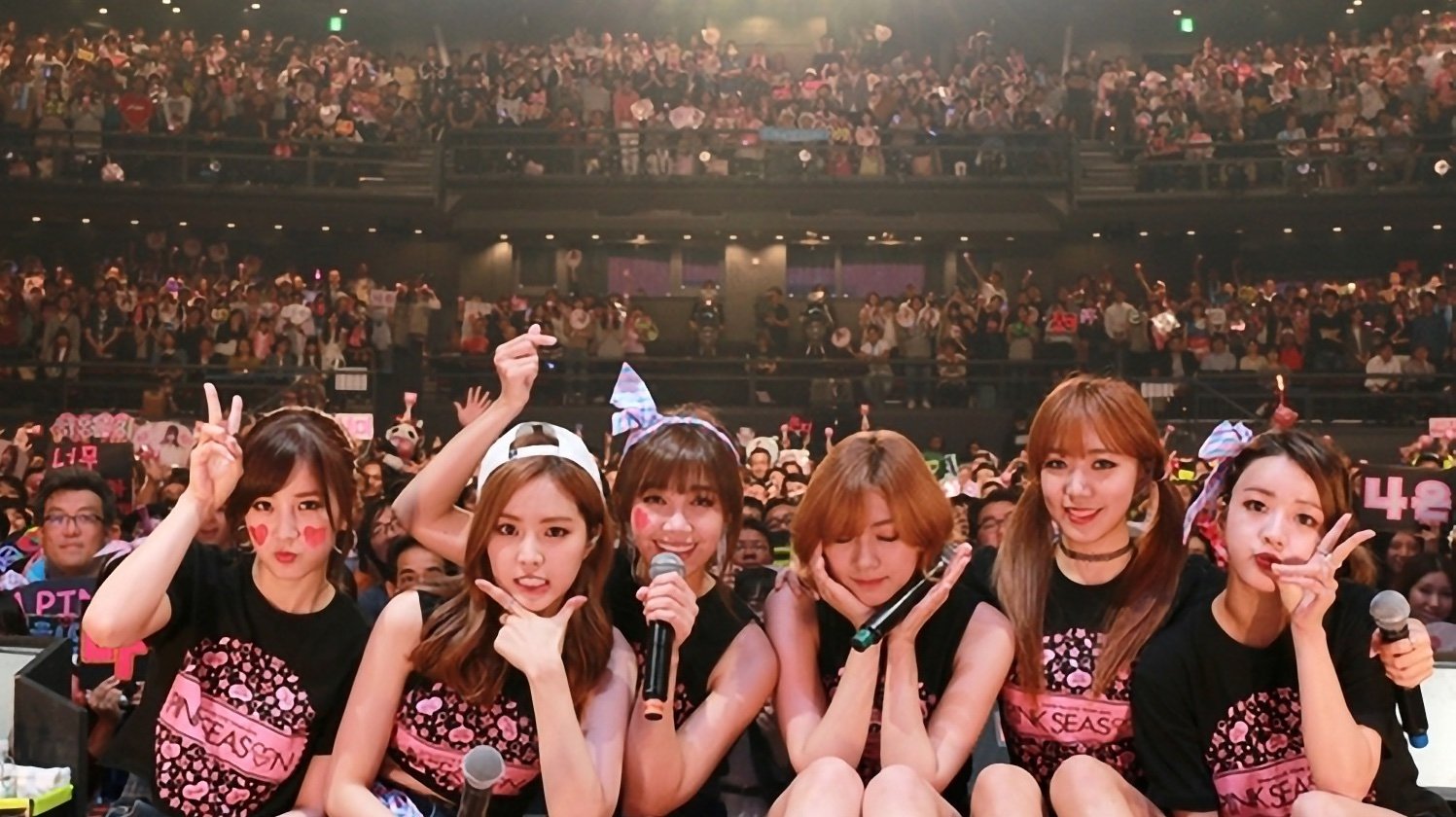 Backdrop for Apink 1st LIVE TOUR 2015 ~PINK SEASON~