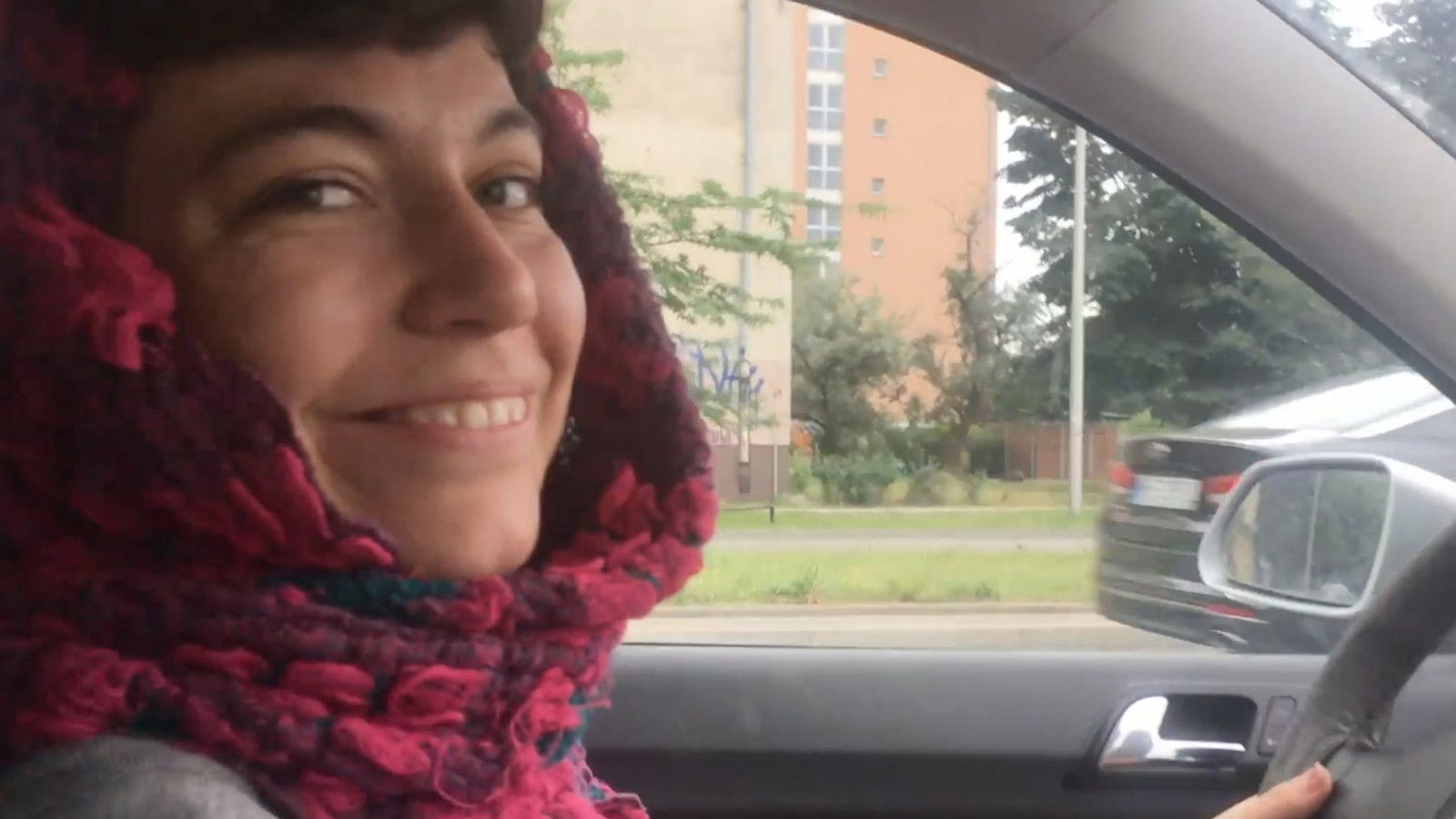 Backdrop for how much is it uncomfortable for dogs to step out on a highway?