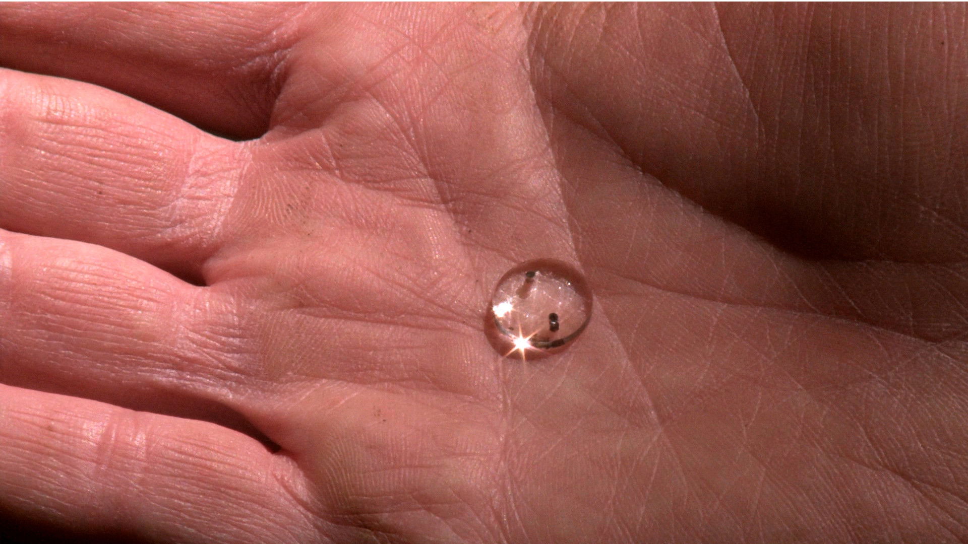 Backdrop for Peau d'âme