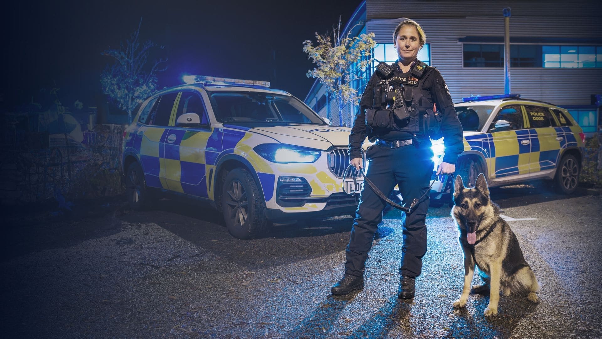 Backdrop for Police Interceptors