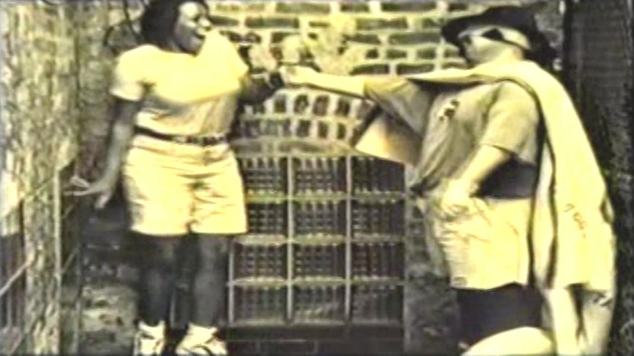 Backdrop for The Rainbow Avenger