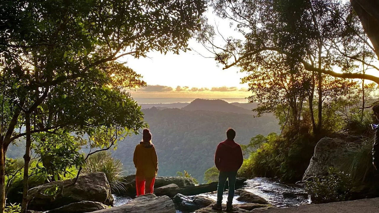 Backdrop for Back to Nature