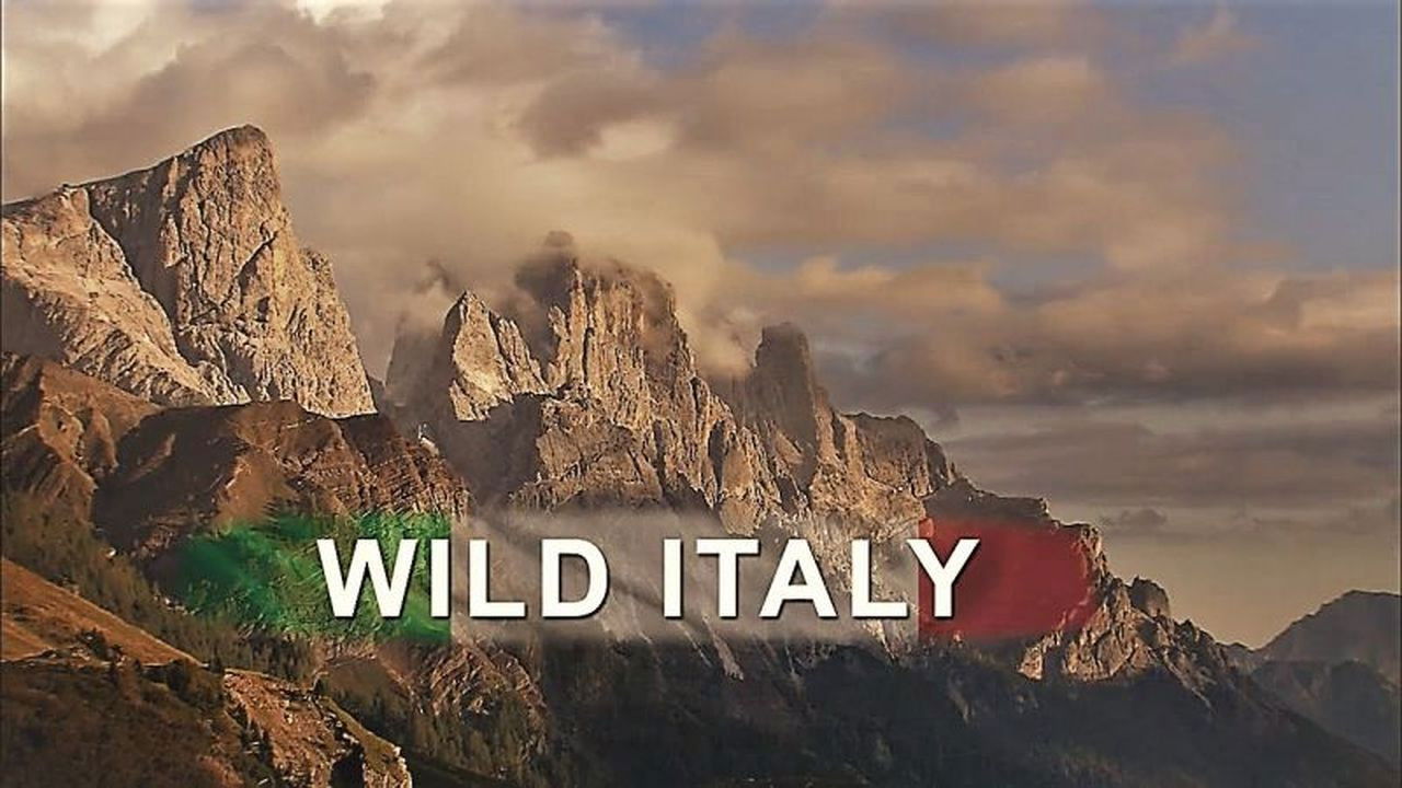 Backdrop for Wild Italy