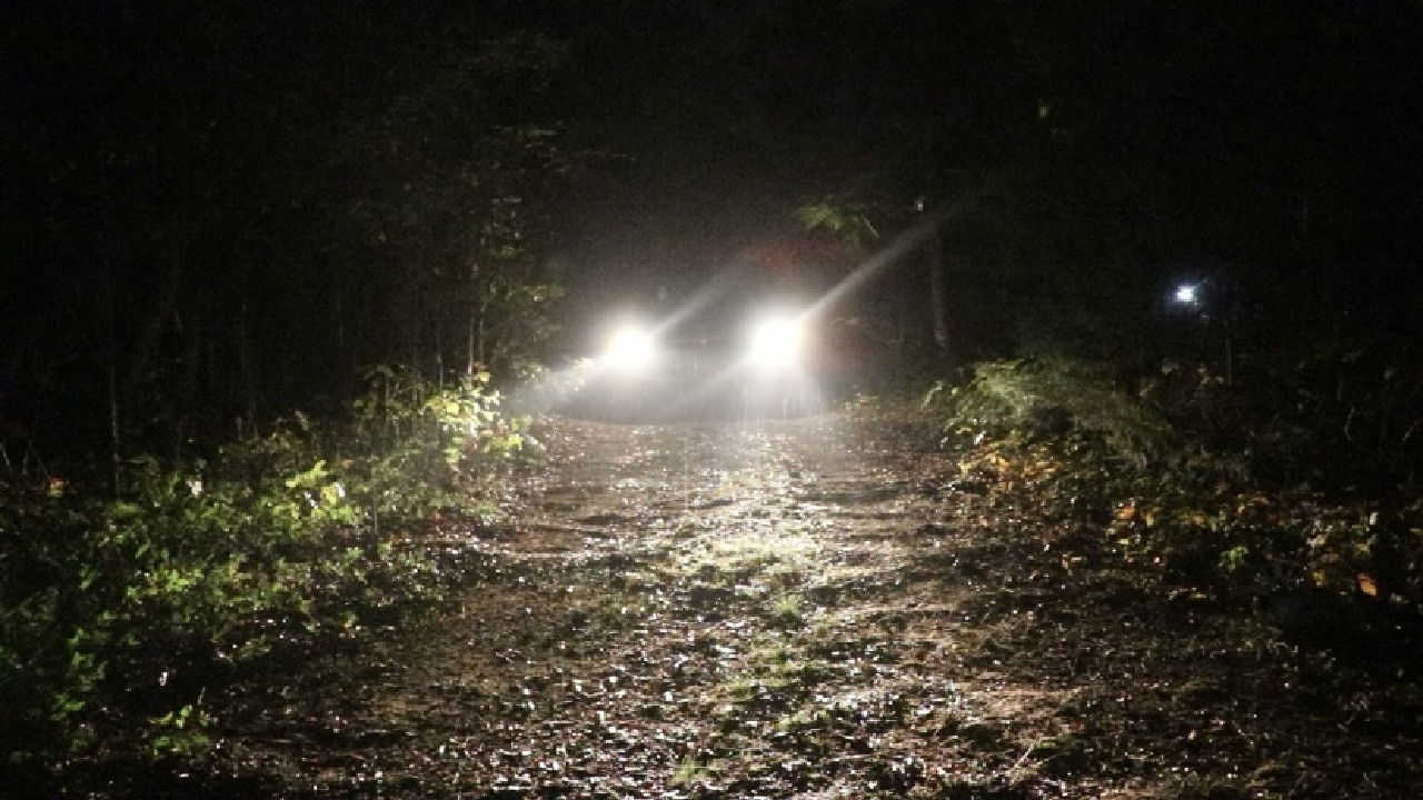 Backdrop for Harder to Cut Cold